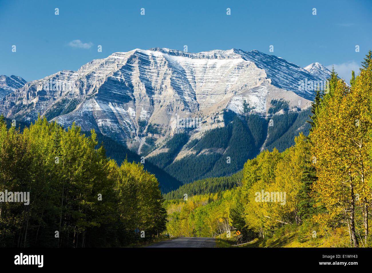 Pointe de la rivière Highwood, parc provincial de la rivière Sheep, comté de Kananaskis, Alberta, Canada Banque D'Images