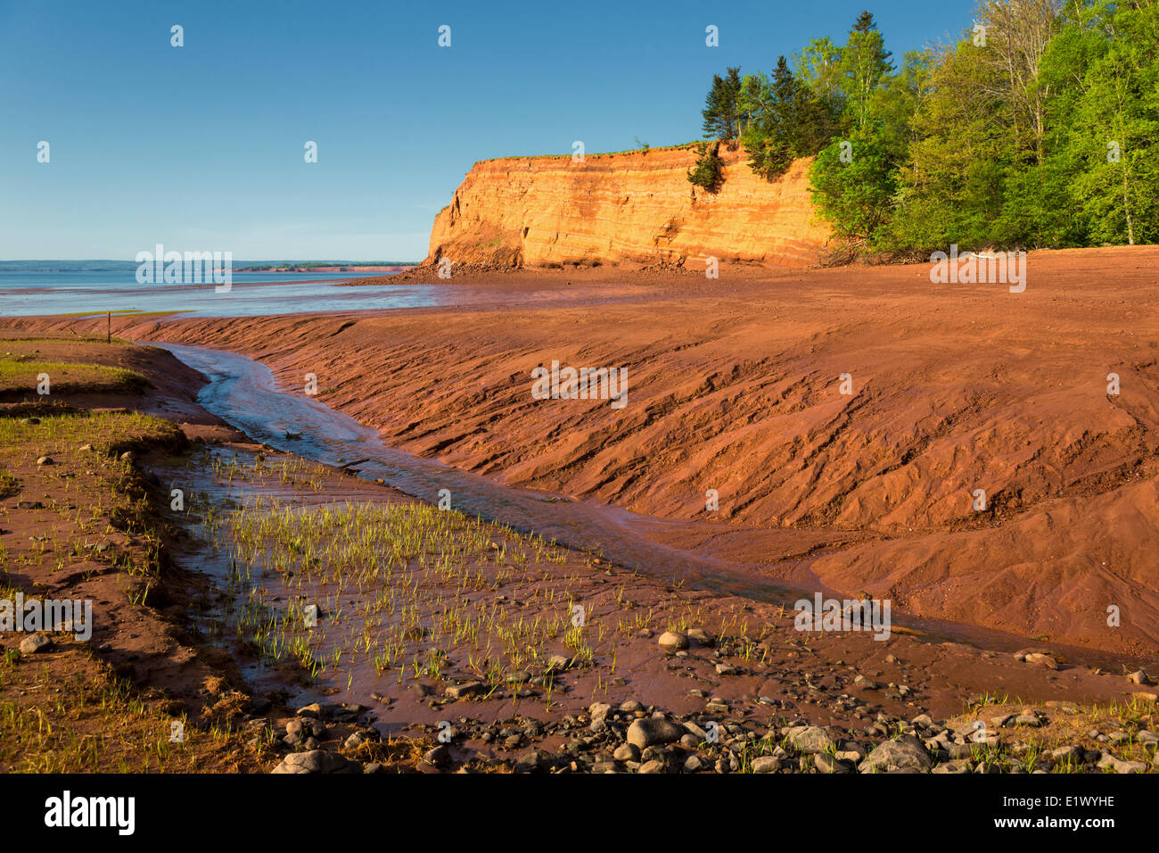 Marée basse, côte de la baie de Fundy, Mill Creek, Nova Scotia, Canada Banque D'Images