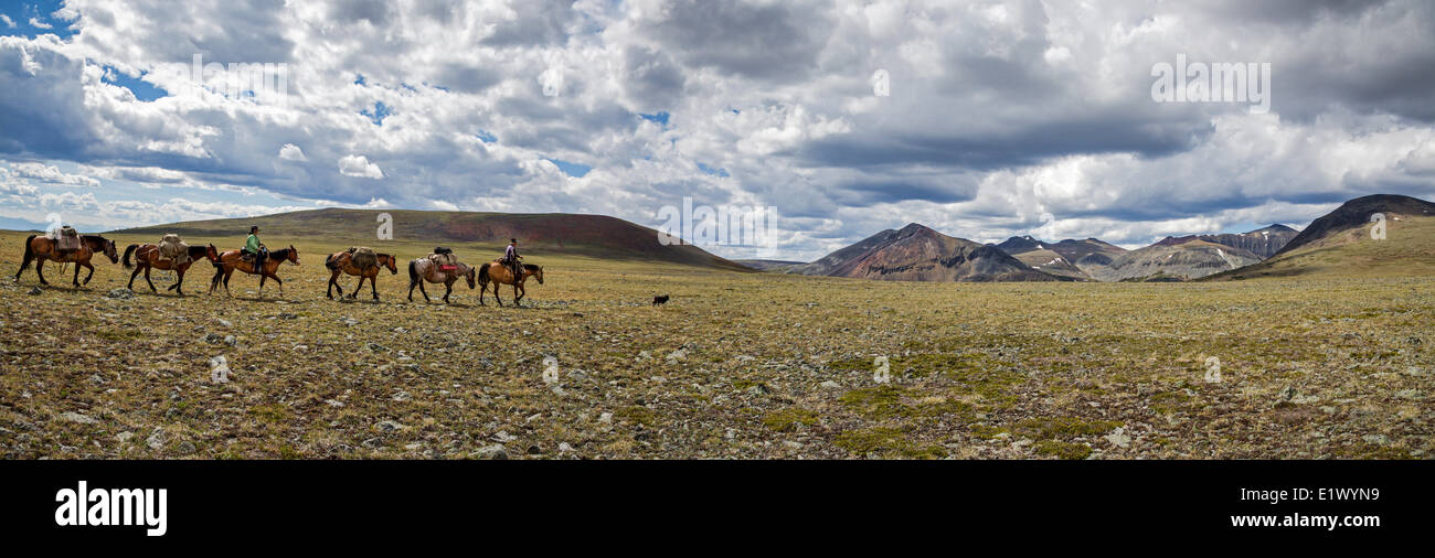 Itcha Ilgachuz Canada Colombie-Britannique Parc Provincial Itcha Itcha Montagne Volcano Trail Ride guide de pourvoirie train pack Banque D'Images