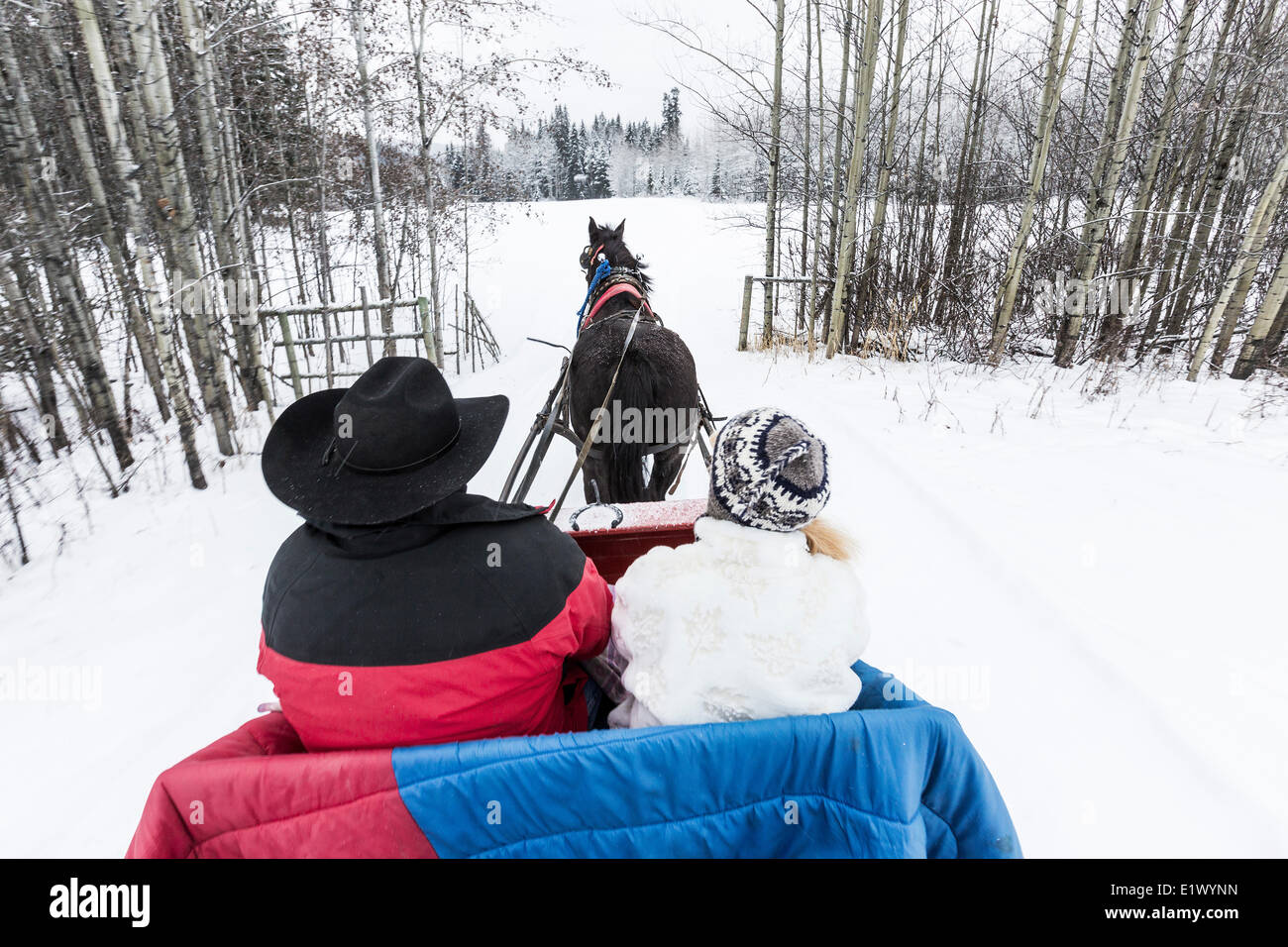 Le Canada, la Colombie-Britannique, région de Cariboo Chilcotin, en carriole, en carriole de Noël, d'hiver, l'hiver en traîneau, Banque D'Images