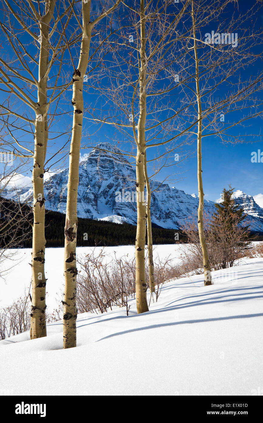 Mt Khéphren et lac gelé sous le ciel bleu, le parc national Banff, Alberta, Canada Banque D'Images