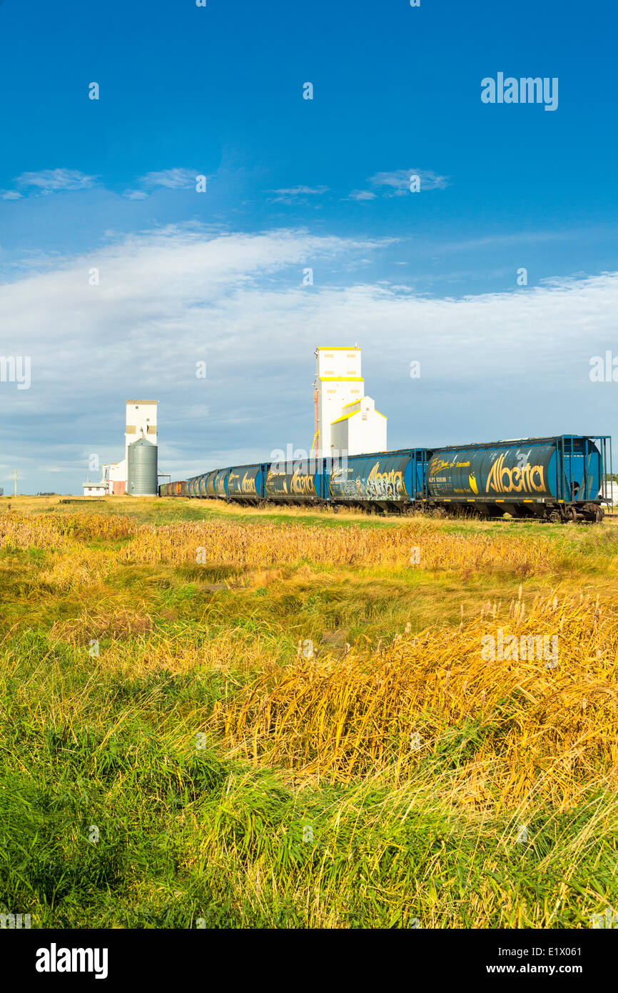 Les silos à grains et des wagons, Tuxford, Saskatchewan, Canada Banque D'Images