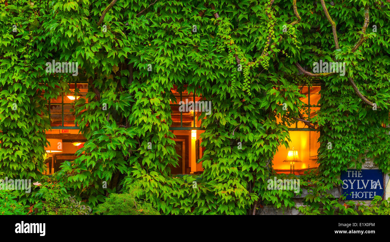 Sylvia Hotel et Boston ivy, Vancouver, British Columbia, Canada Banque D'Images