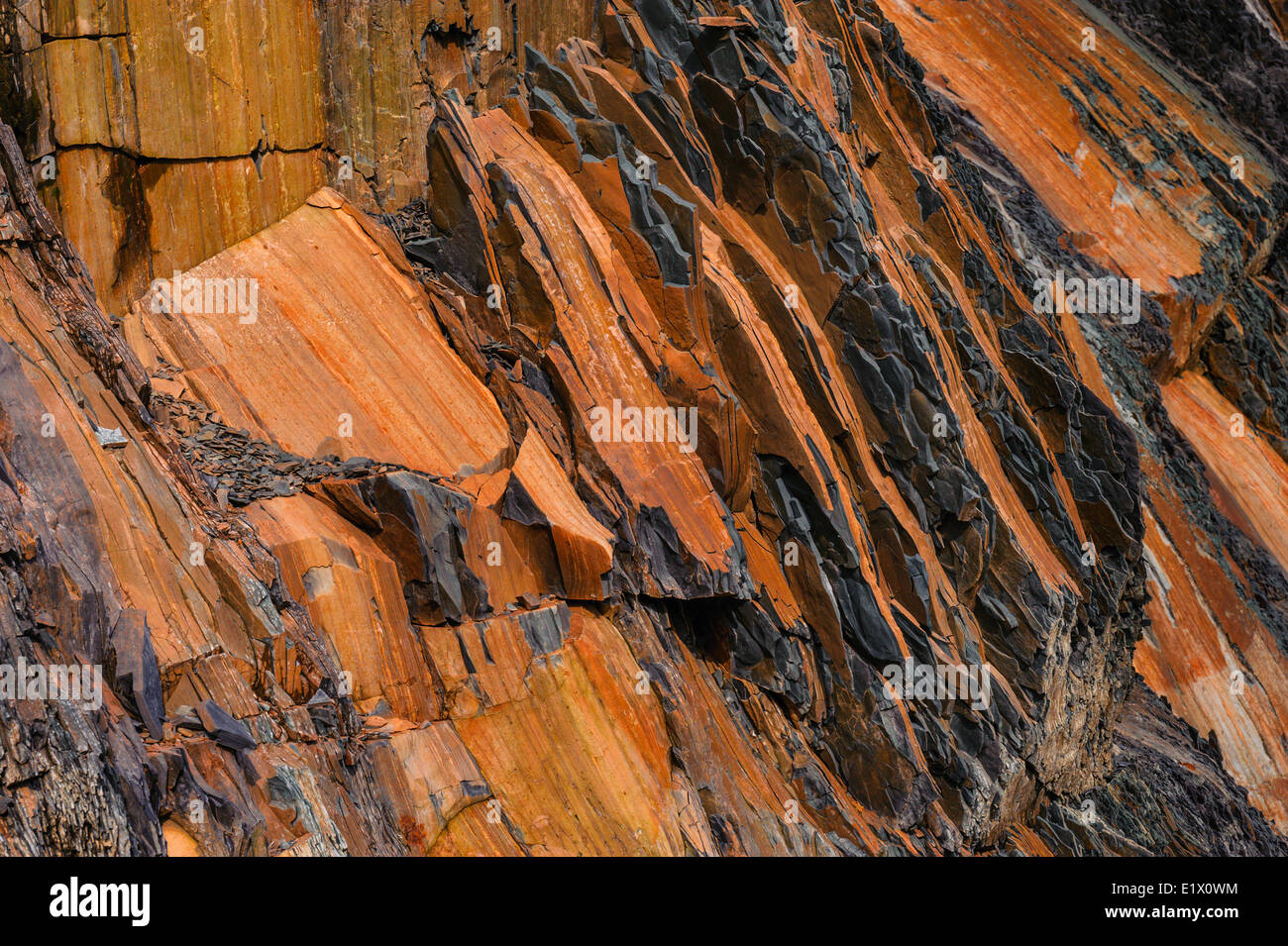 Schiste vert oxydé au point le stratotype mondial site pour la limite géologique de l'Ordovicien Cambrien. Le parc national du Gros-Morne Banque D'Images