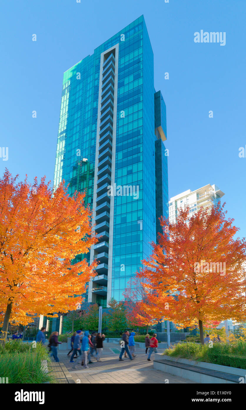 Tour de bureaux de Vancouver et les érables à l'automne. Banque D'Images