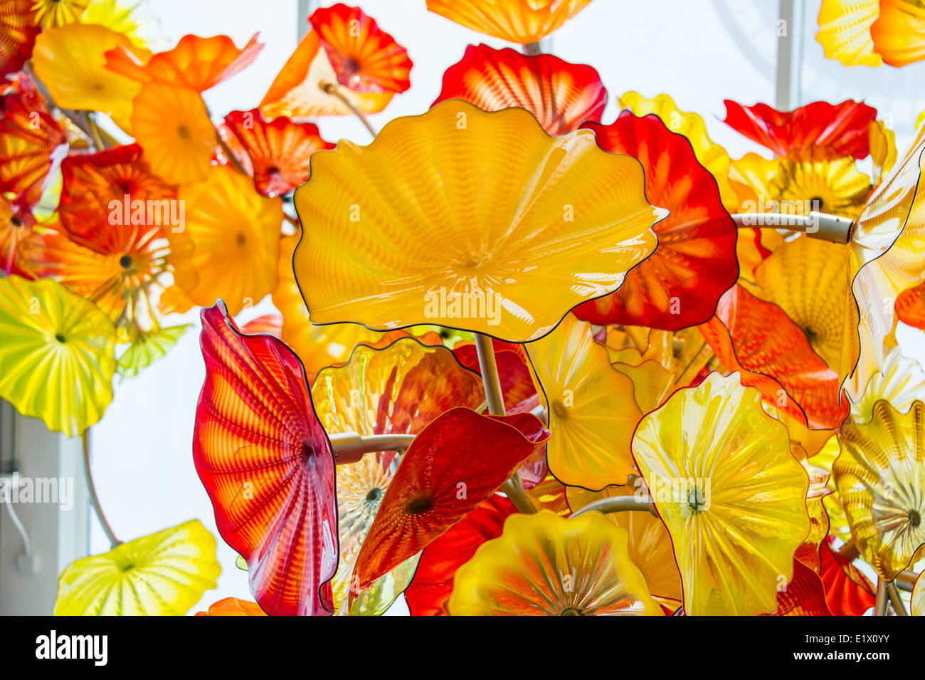 Maison de Verre,Jardin et Dale Chihuly Glass.Seattle,Washington USA Banque D'Images