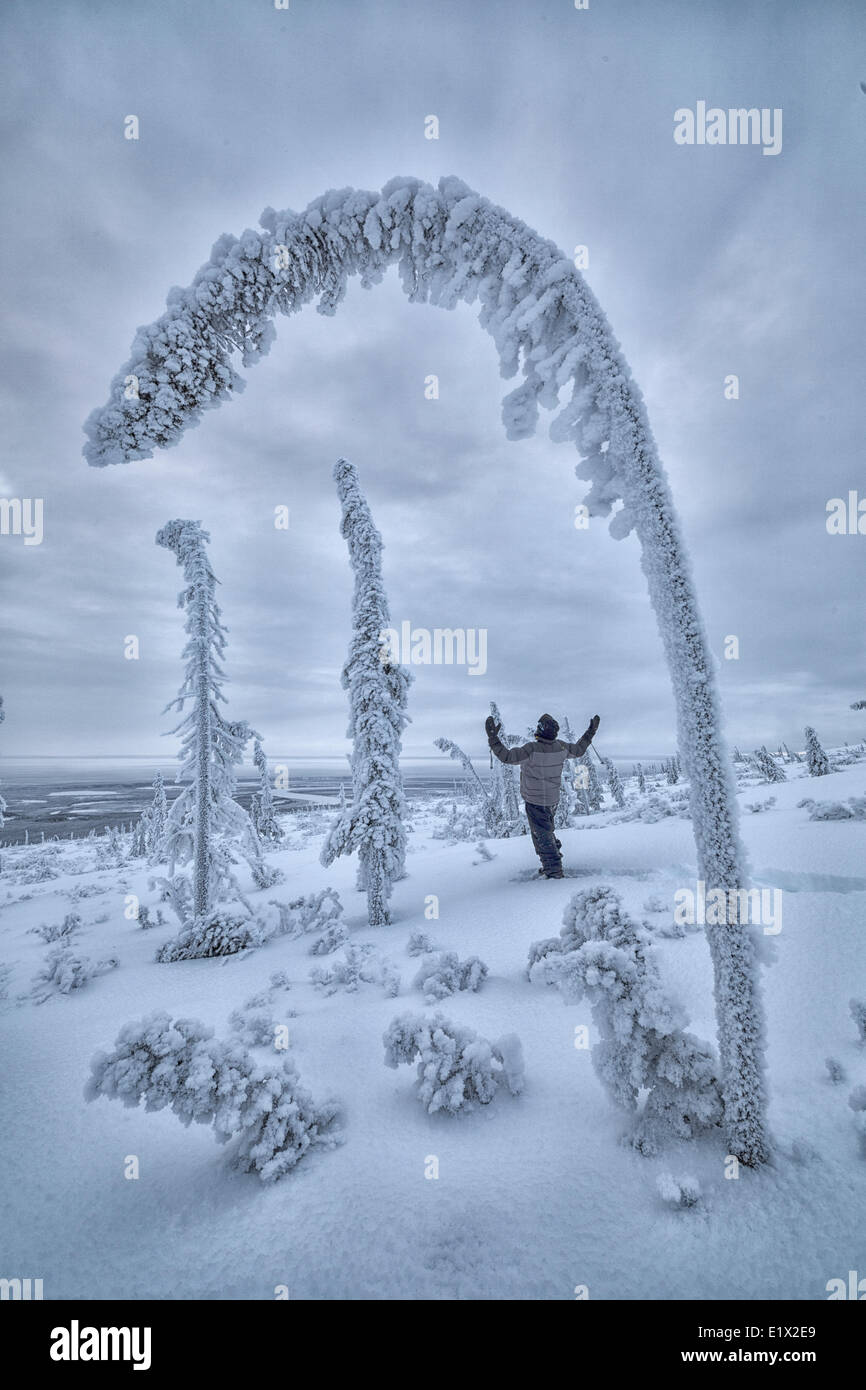 Personne debout dans la neige entouré par la neige, arbres ladened Old Crow, au Yukon. Banque D'Images