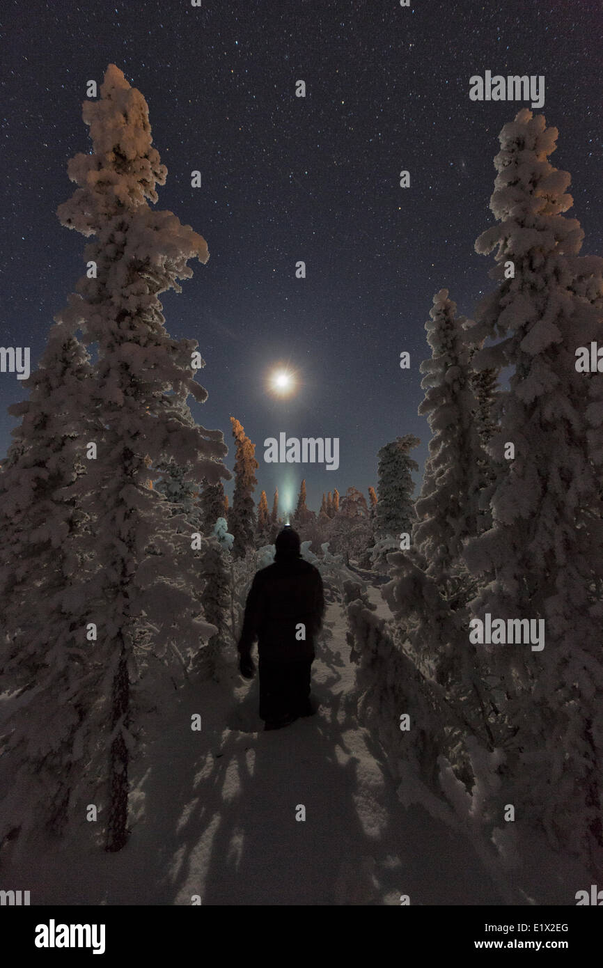 Personne debout dans la neige entouré d'arbres couverts de neige tout en regardant la lune, Old Crow, au Yukon. Banque D'Images