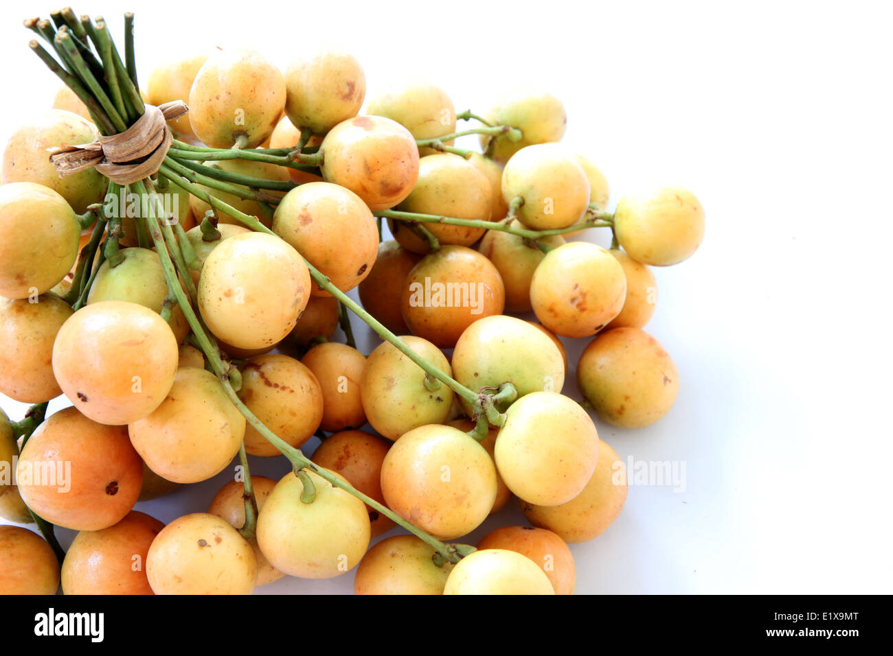 Baccaurea ramiflora birman ou raisins sur fond blanc. Banque D'Images