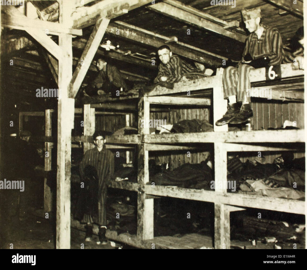 L'Holocauste (1941-1945) reste l'un des événements les plus tragiques et les plus significatifs de l'histoire, où des millions de Juifs et d'autres groupes ont été systématiquement assassinés par le régime nazi. L'événement a façonné la prise de conscience mondiale des droits de l'homme et des atrocités commises pendant la première Guerre mondiale Banque D'Images