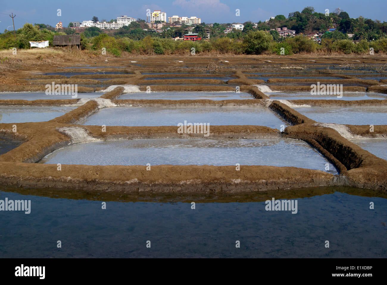 Salt Pan dans l'Inde de salant El-Mallahet Agriculture sel Le sel dans les étangs d'évaporation Banque D'Images