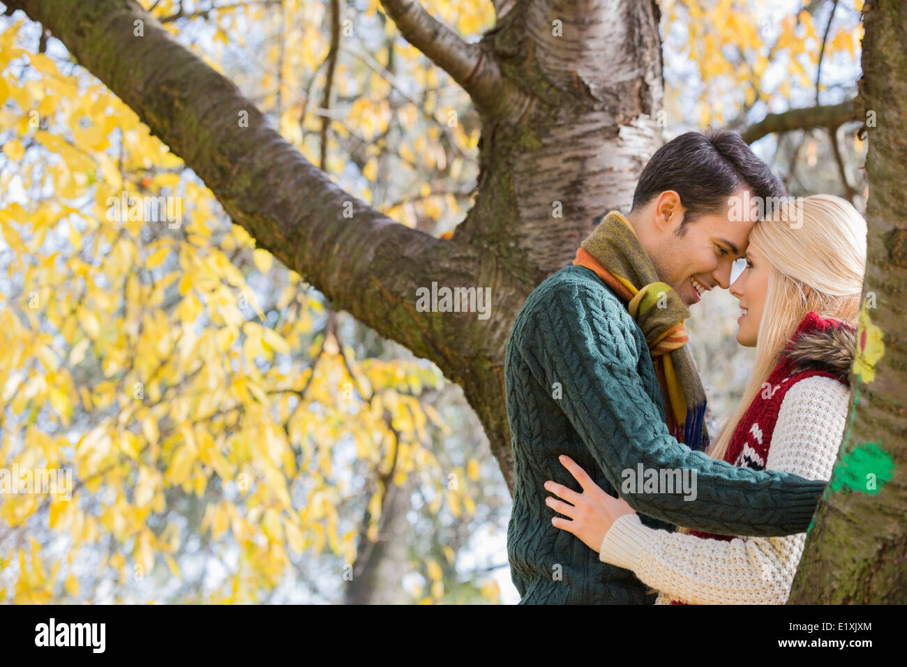 Vue latérale du jeune couple hugging près de l'arbre d'automne dans le parc Banque D'Images