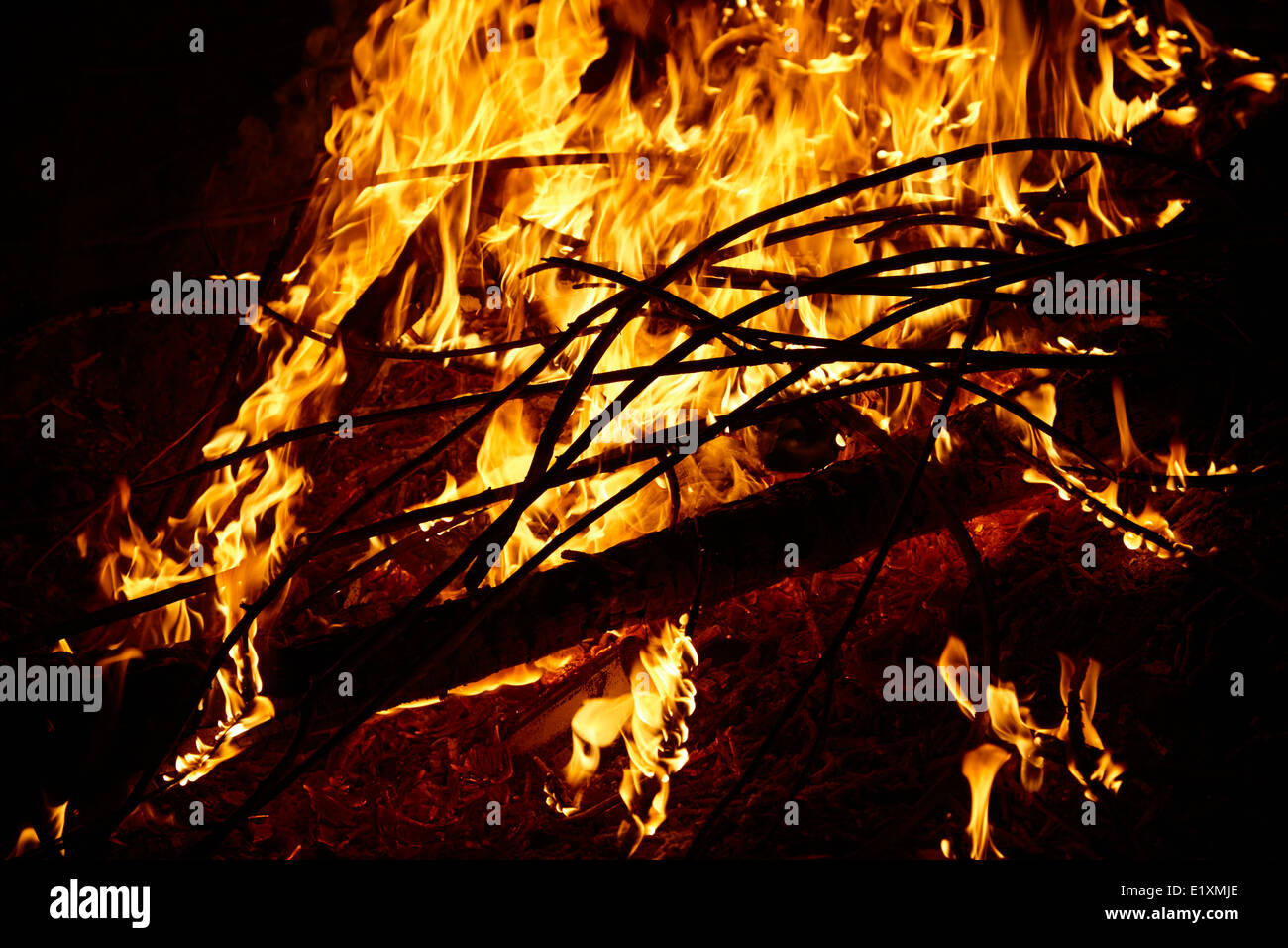 La combustion de bois d'eucalyptus dans un intense feu de camp los pellines chili Banque D'Images