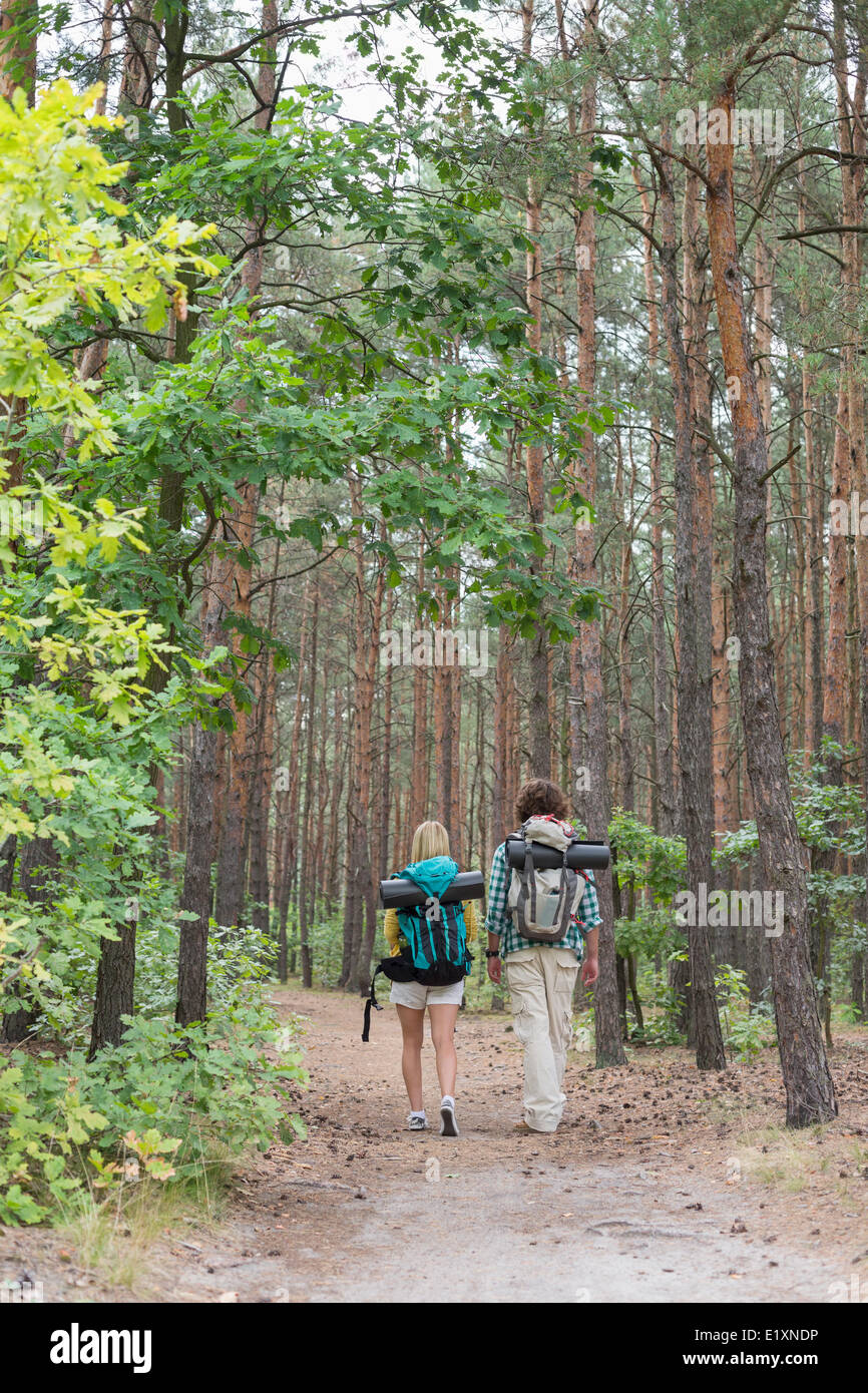 Vue arrière de la randonnée couple walking in forest Banque D'Images