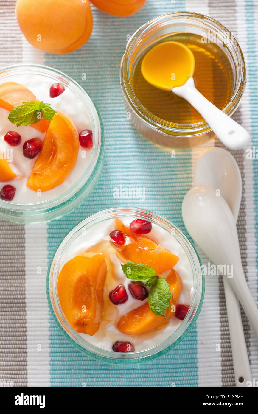Petit-déjeuner sain avec du yogourt abricot miel de Grenade Banque D'Images