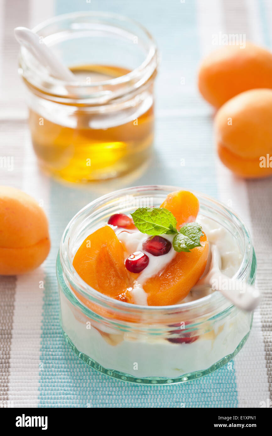 Petit-déjeuner sain avec du yogourt abricot miel de Grenade Banque D'Images
