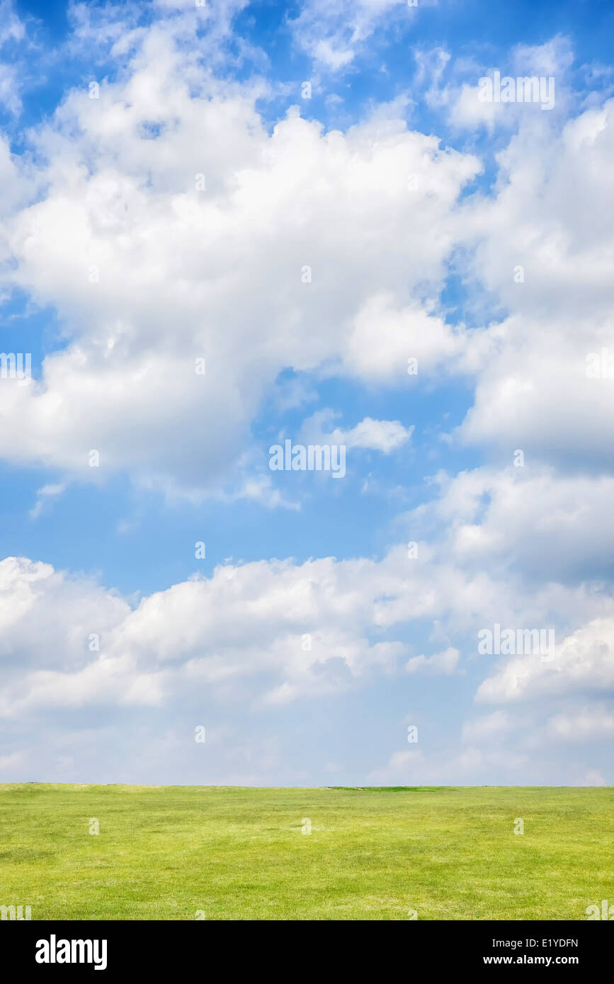 Green hill avec bleu ciel nuageux en journée ensoleillée Banque D'Images