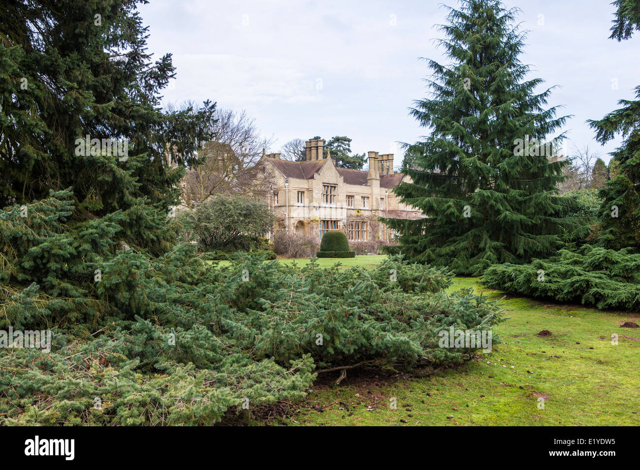 Le Lodge, RSPB Sandy, Bedfordshire, Royaume-Uni Banque D'Images