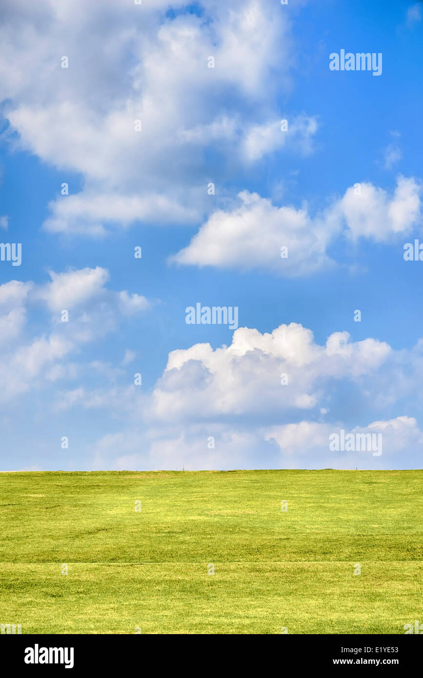 Green hill avec bleu ciel nuageux en journée ensoleillée Banque D'Images