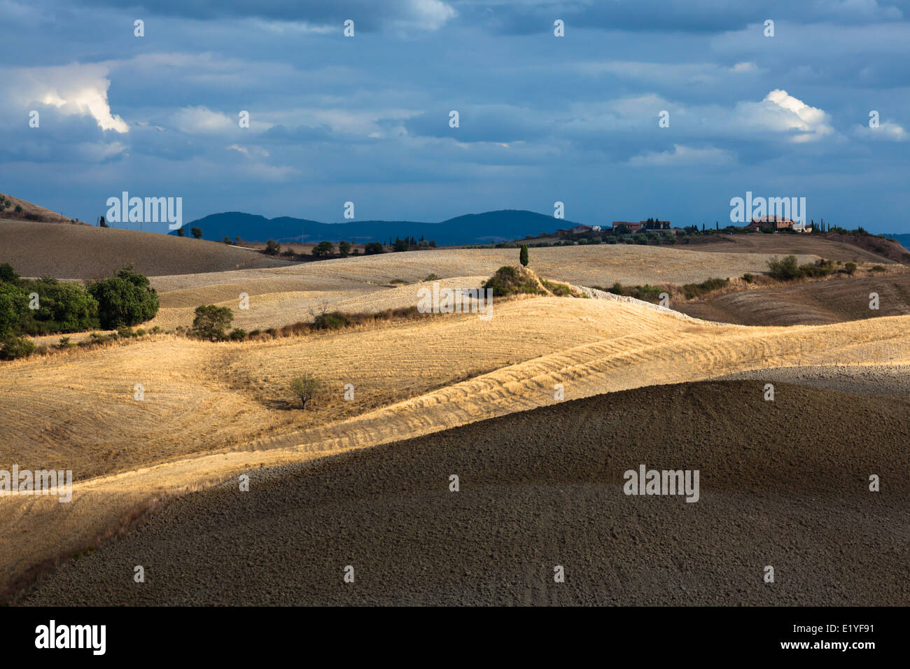 Paysage en région entre Sienne et Asciano, Crete Senesi, Province de Sienne, Toscane, Italie Banque D'Images