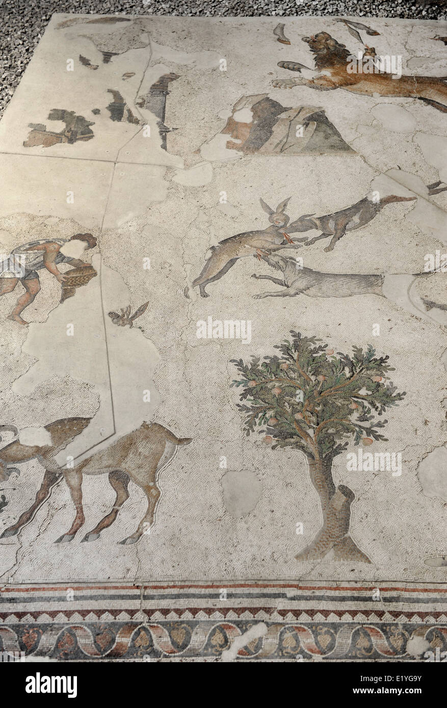 Grand Palais Musée de la mosaïque. 4e-6e siècles. Détail d'une mosaïque. Istanbul. La Turquie. Banque D'Images
