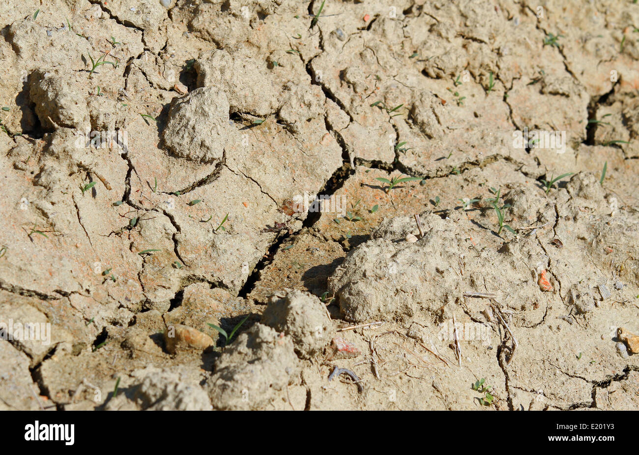 La sécheresse des sols arides pendant une famine dans la sécheresse sans eau 2 Banque D'Images