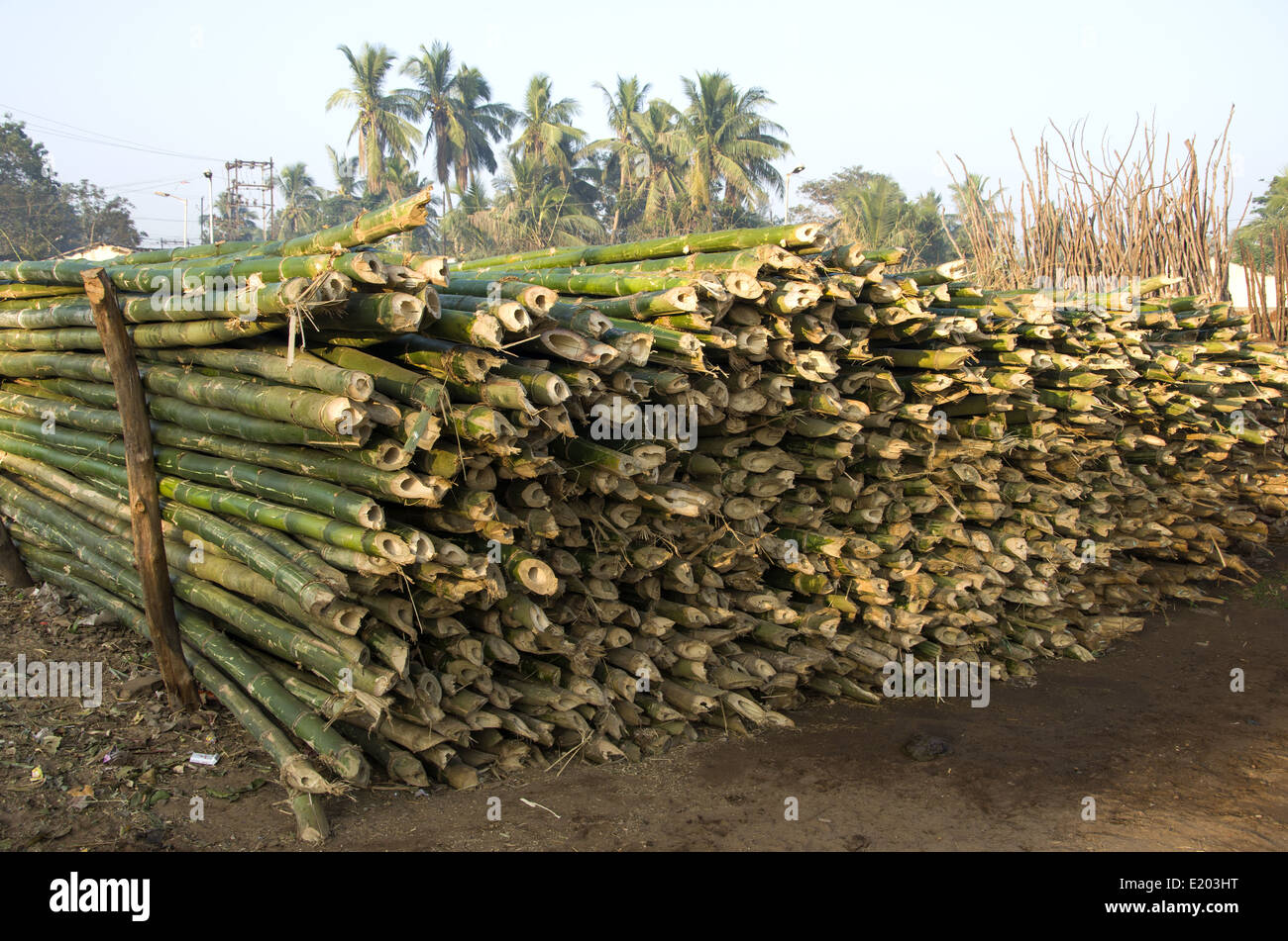 Pile de stockage en bambou construction en Inde Banque D'Images