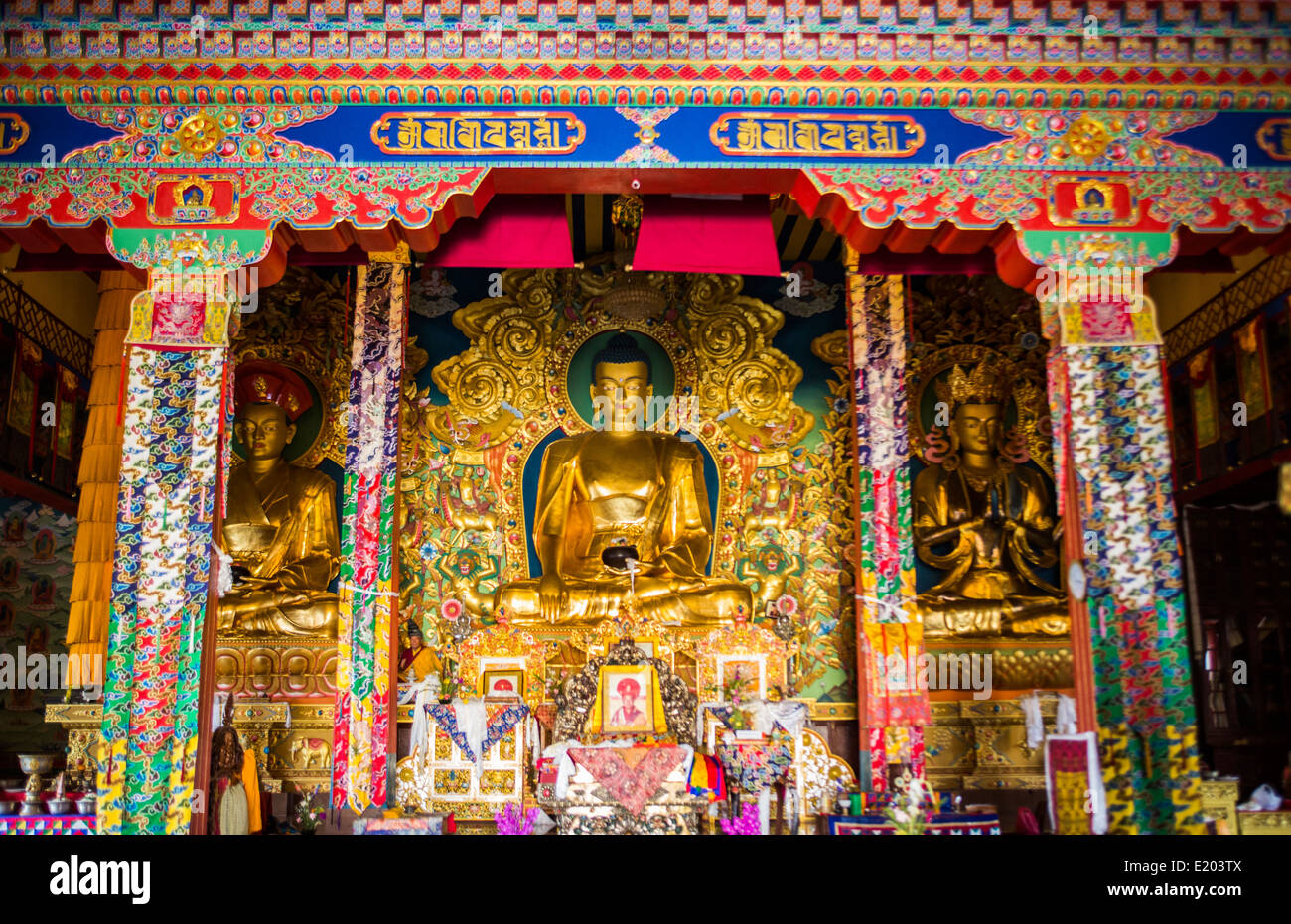 Katmandou Népal Bouddha d'or du monastère Drikung Kagyu Rinchenling. L'Est de Katmandou. Banque D'Images