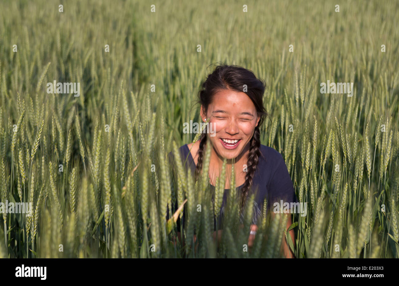 Katmandou Népal enfant népalais posant en champ de blé dans l'Est de Katmandou 1 Banque D'Images