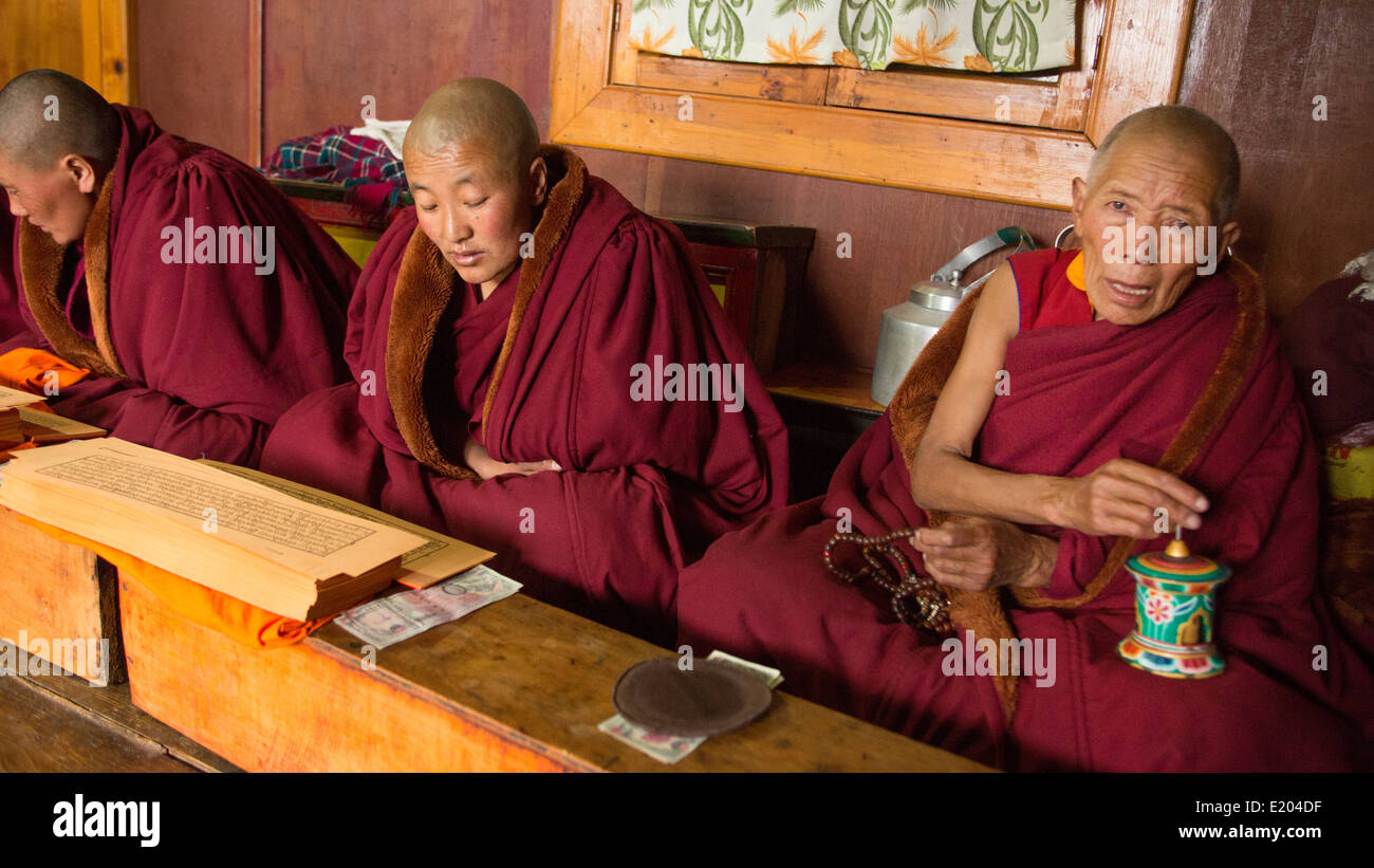 Le Népal Himalaya bouddhiste au monastère de Kharigandentenphelling dans le village de Thamo Everest 83 Mt de Solukhumbu 8485 Banque D'Images