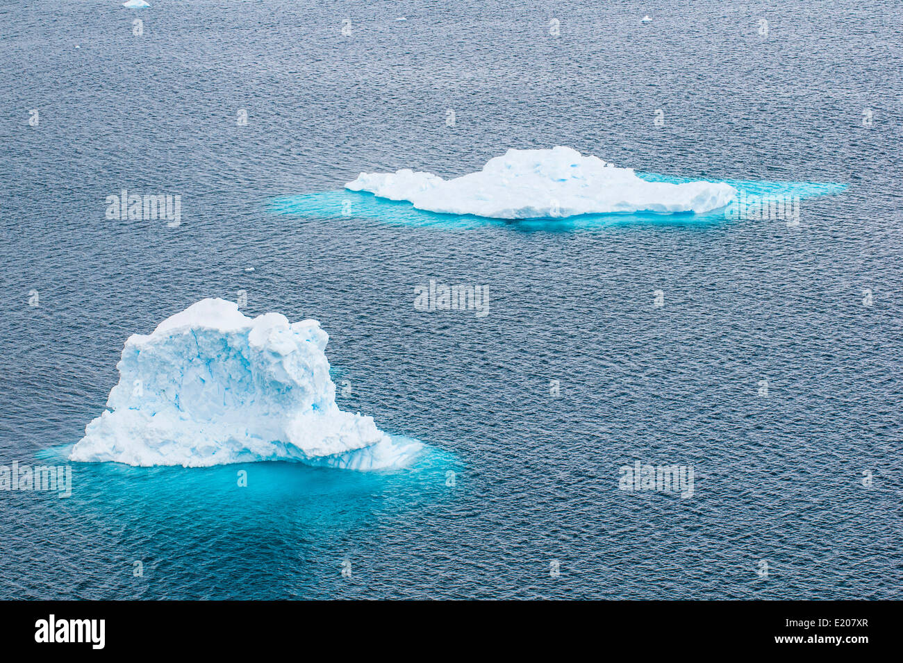 Les petits icebergs, Danco Island, Antarctica Banque D'Images