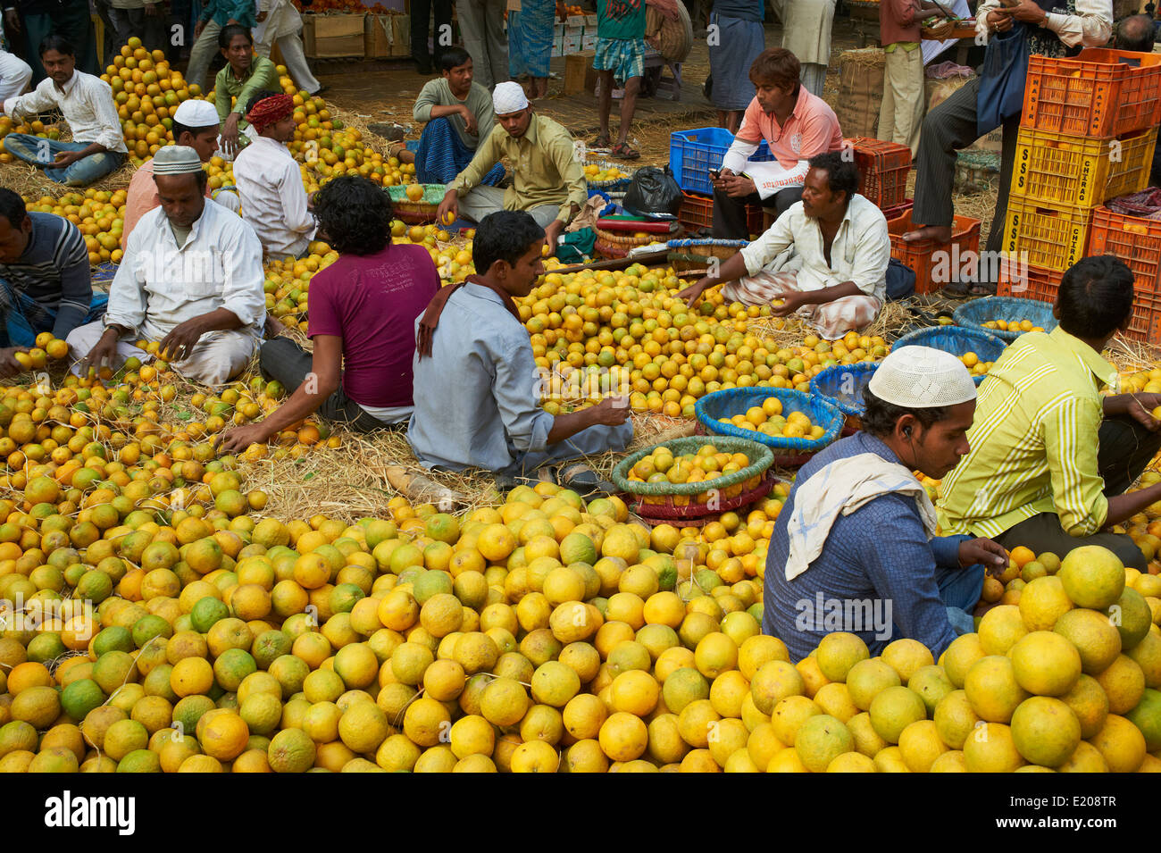 L'Inde, le Bengale occidental, Calcutta, Calcutta, marché de fruits Banque D'Images