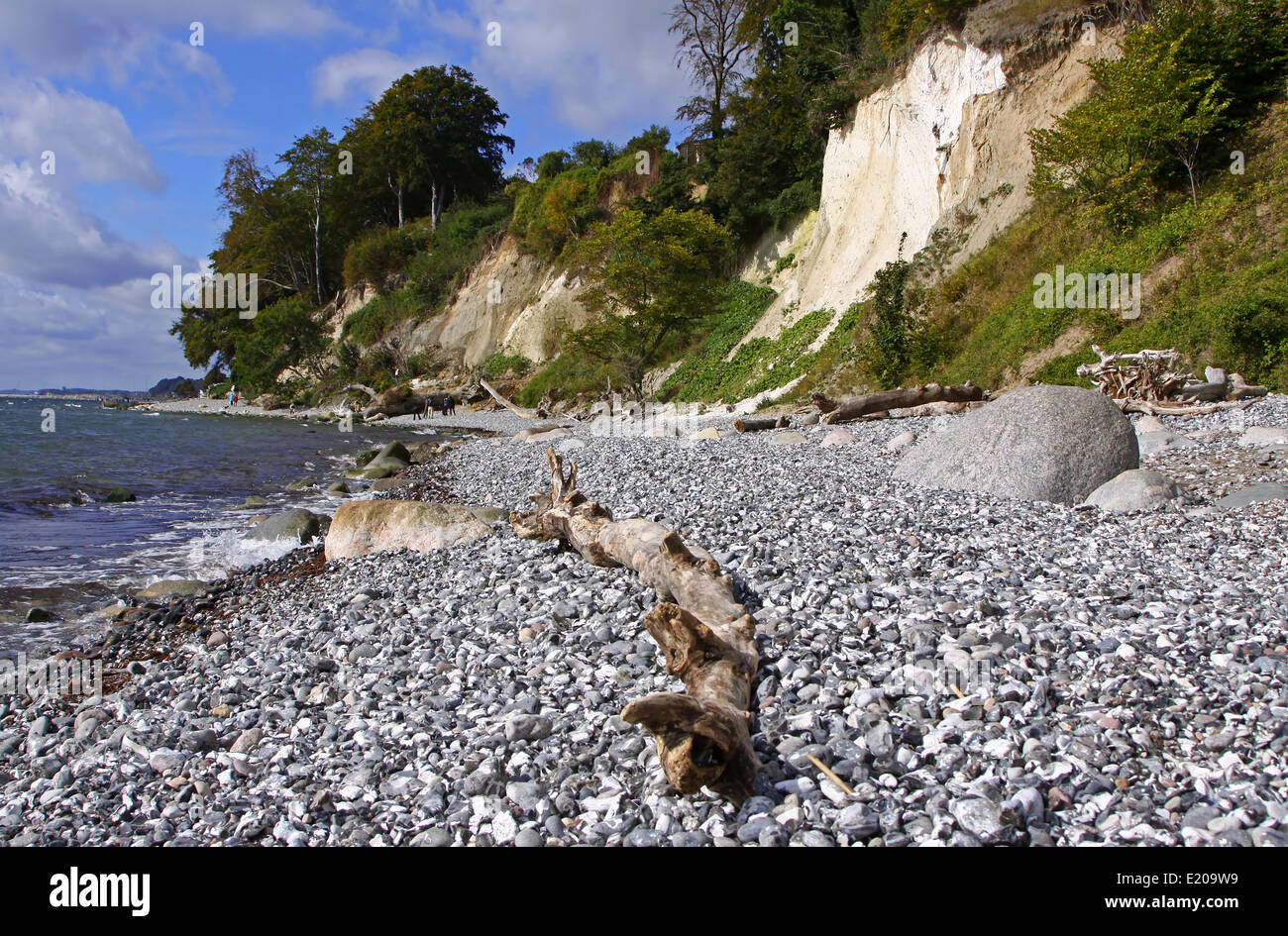 Rügen Allemagne côte de craie Banque D'Images