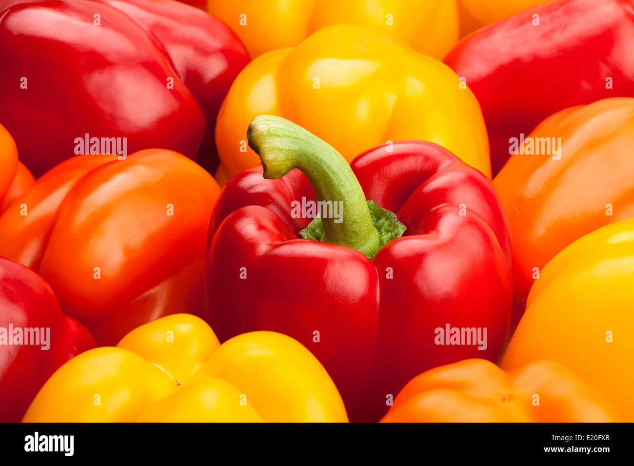 Les poivrons closeup Banque D'Images