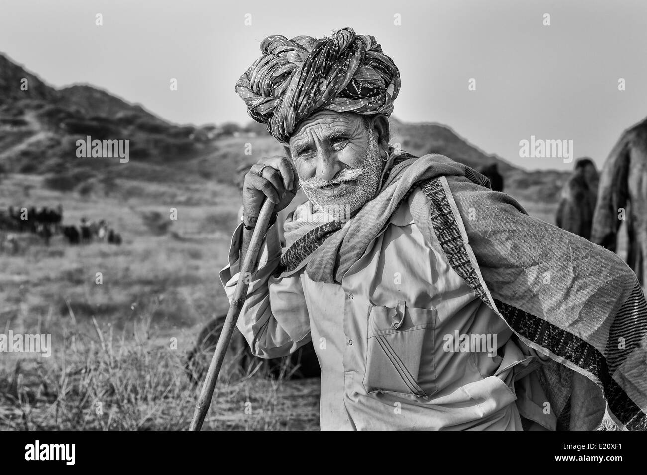 Un commerçant de chameau entraîne ses chameaux vers la foire annuelle le 31 octobre 2011 près de Pushkar, Rajasthan, Inde. Banque D'Images