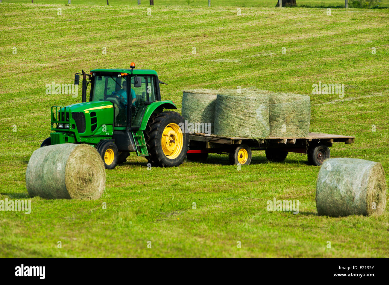 Farmer Chargement des bobines de foin en balles rondes sur un tracteur avec remorque à plateau Banque D'Images