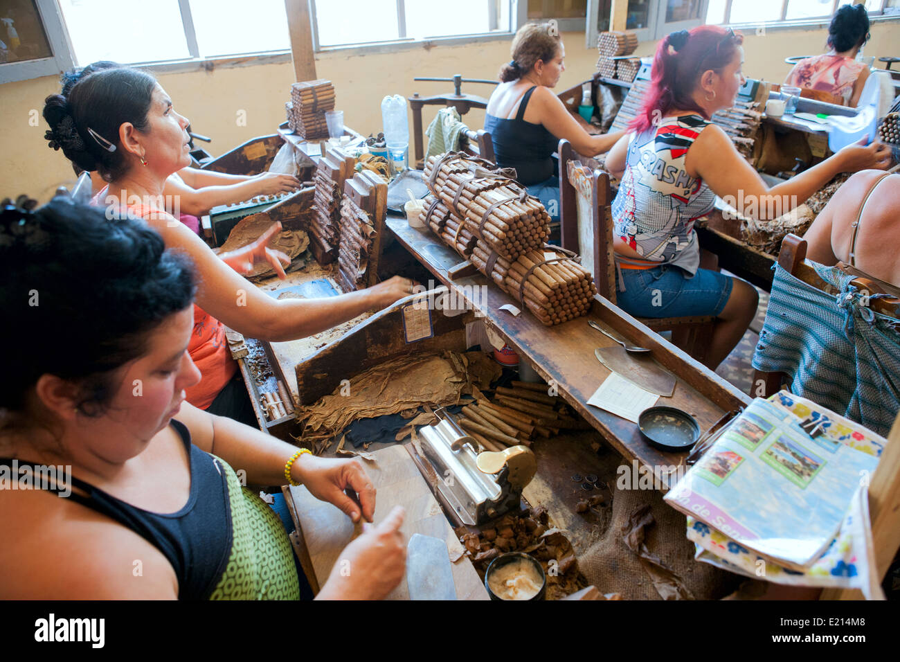 Les femmes cubaines faire cigares dans une usine. Banque D'Images Les femmes cubaines faire cigares dans une usine. Banque D'Images
