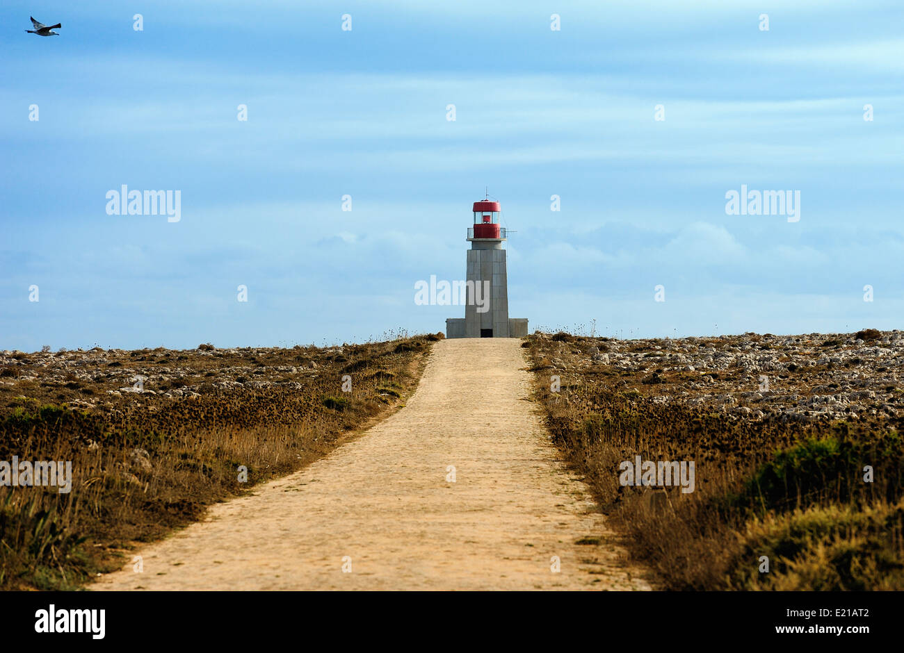 Côte au Fortaleza de Sagres, Portugal Banque D'Images