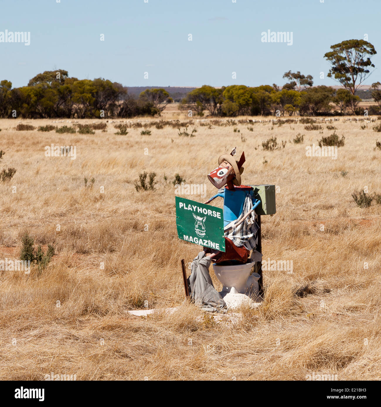 Un cheval de l'étain sur l'étain l'autoroute en Australie occidentale Banque D'Images