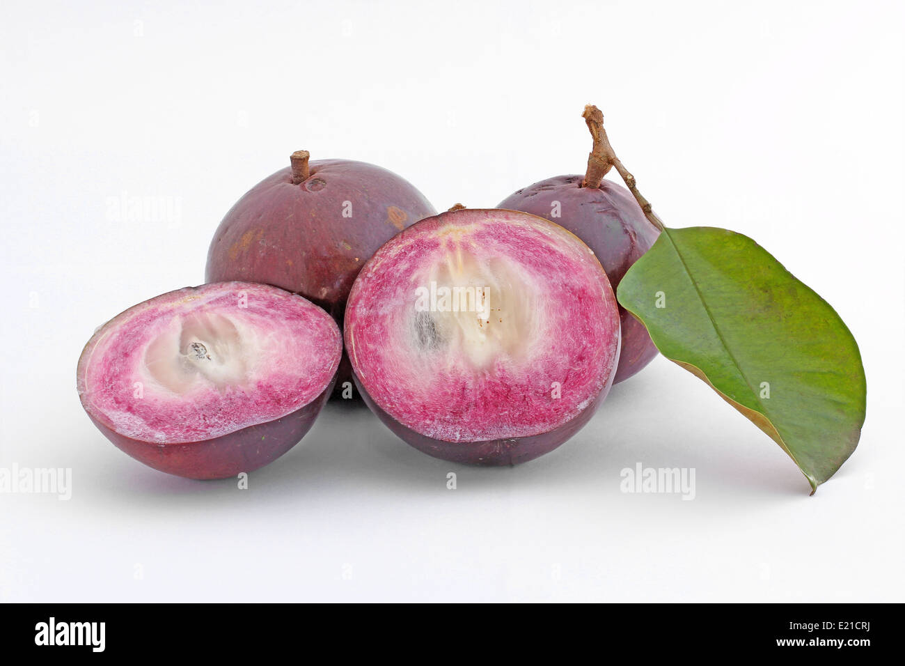 Chrysophyllum cainito ou Apple Star fruits isolé sur fond blanc Banque D'Images