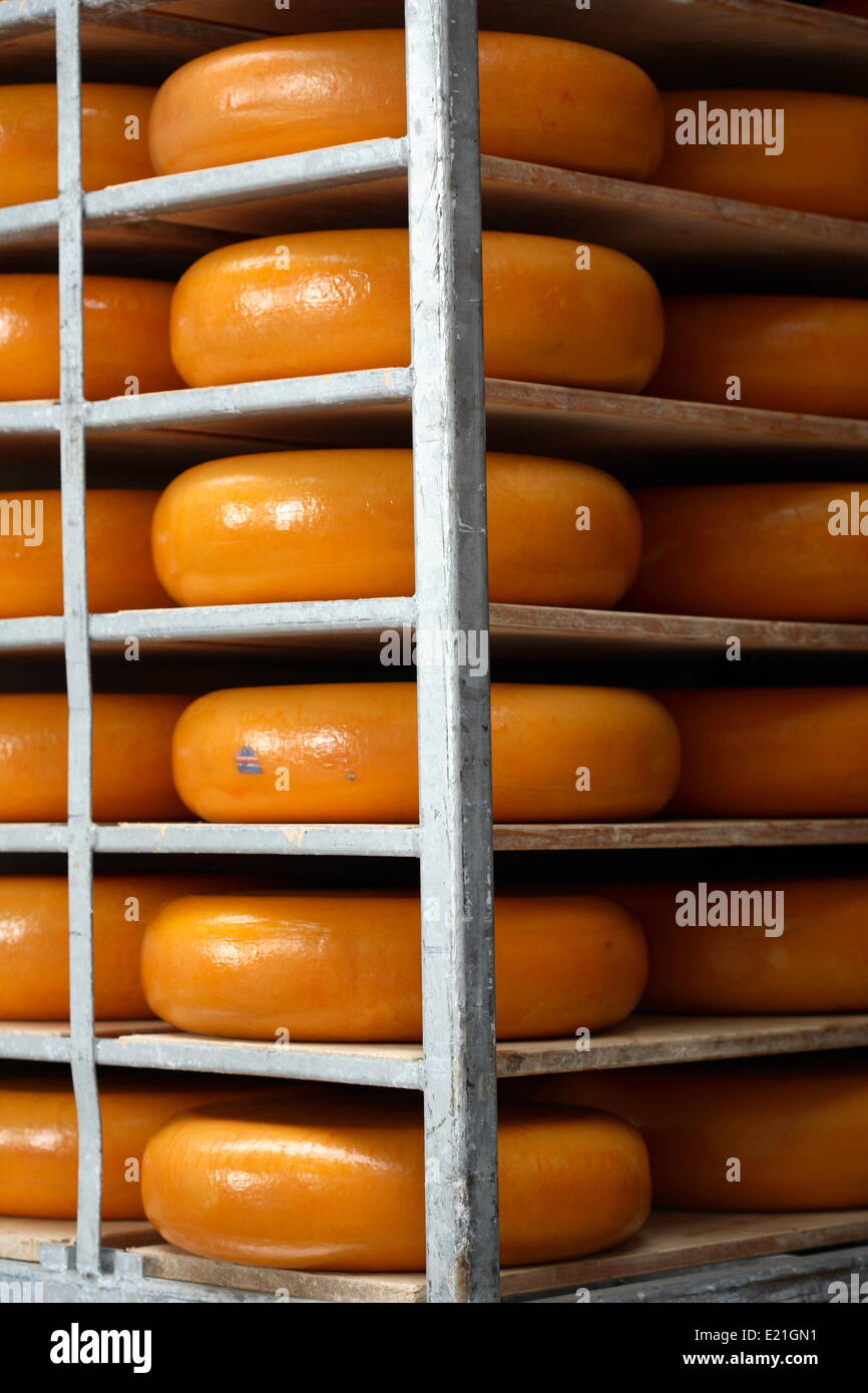 Le marché du fromage hollandais - Alkmaar Banque D'Images