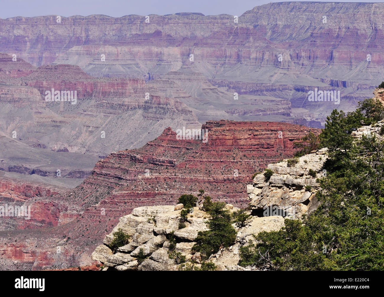 Vue du Grand Canyon Banque D'Images