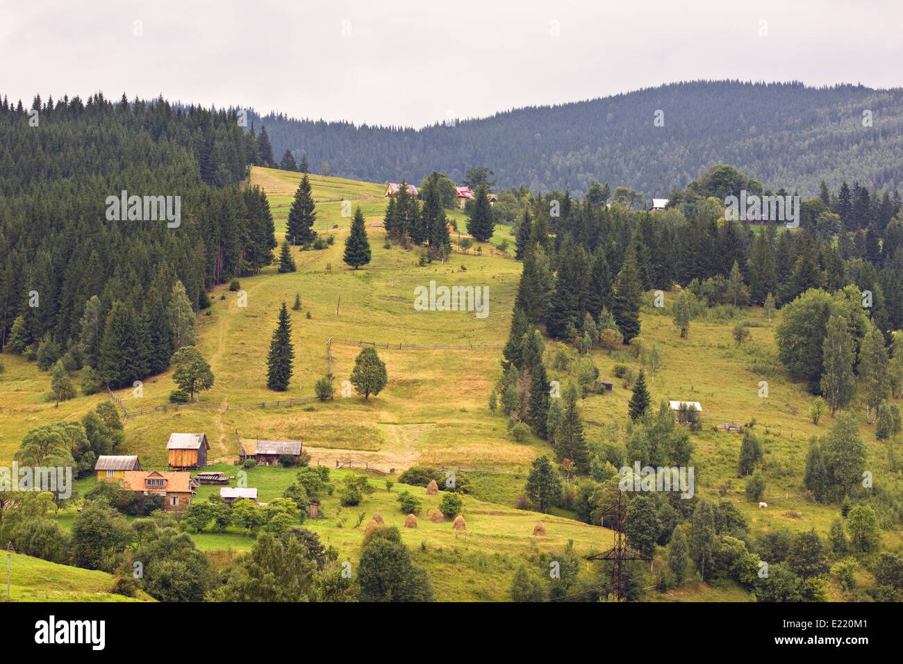 Les terres agricoles de montagne verte Banque D'Images