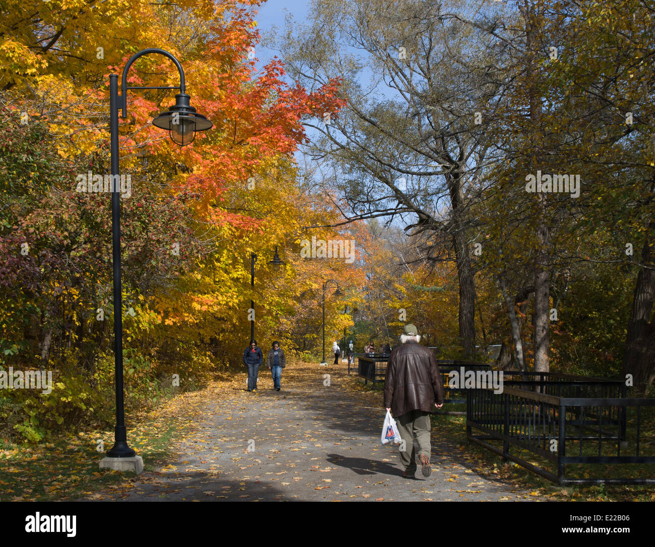 Une promenade dans le parc qui entoure les chutes Montmorency à la périphérie de la ville de Québec , possibilité de profiter de la couleur à l'automne Banque D'Images