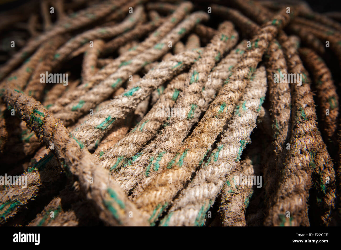 Close up of old rope. Banque D'Images