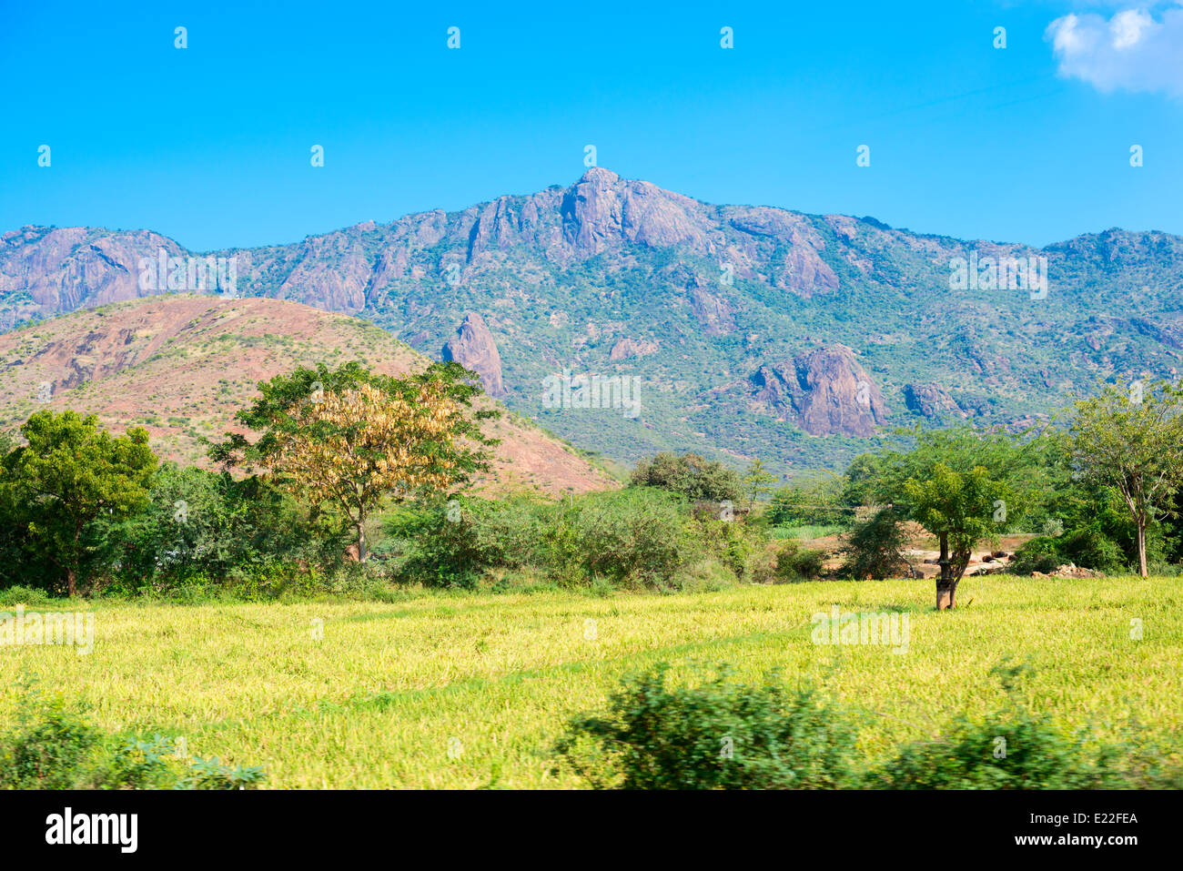 Beau paysage de montagnes et des routes en Inde, Kerala Banque D'Images