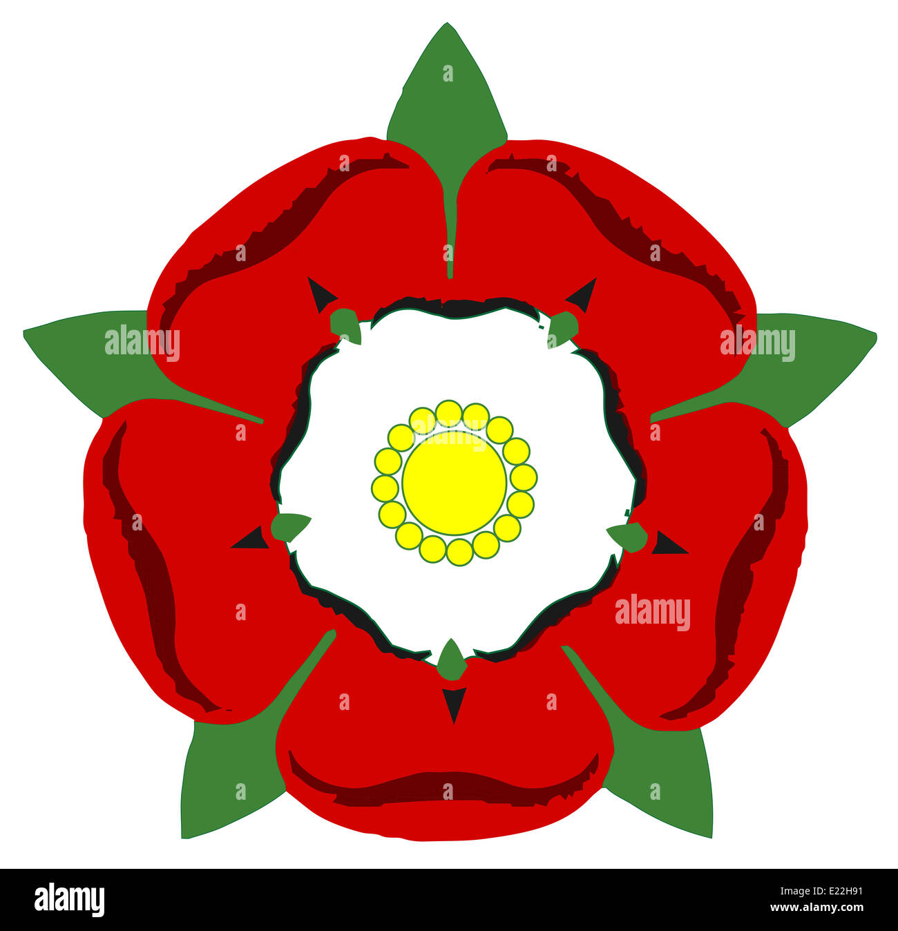 Rose Rouge De Lancaster Et Rose Blanche De York Banque d'image et ...