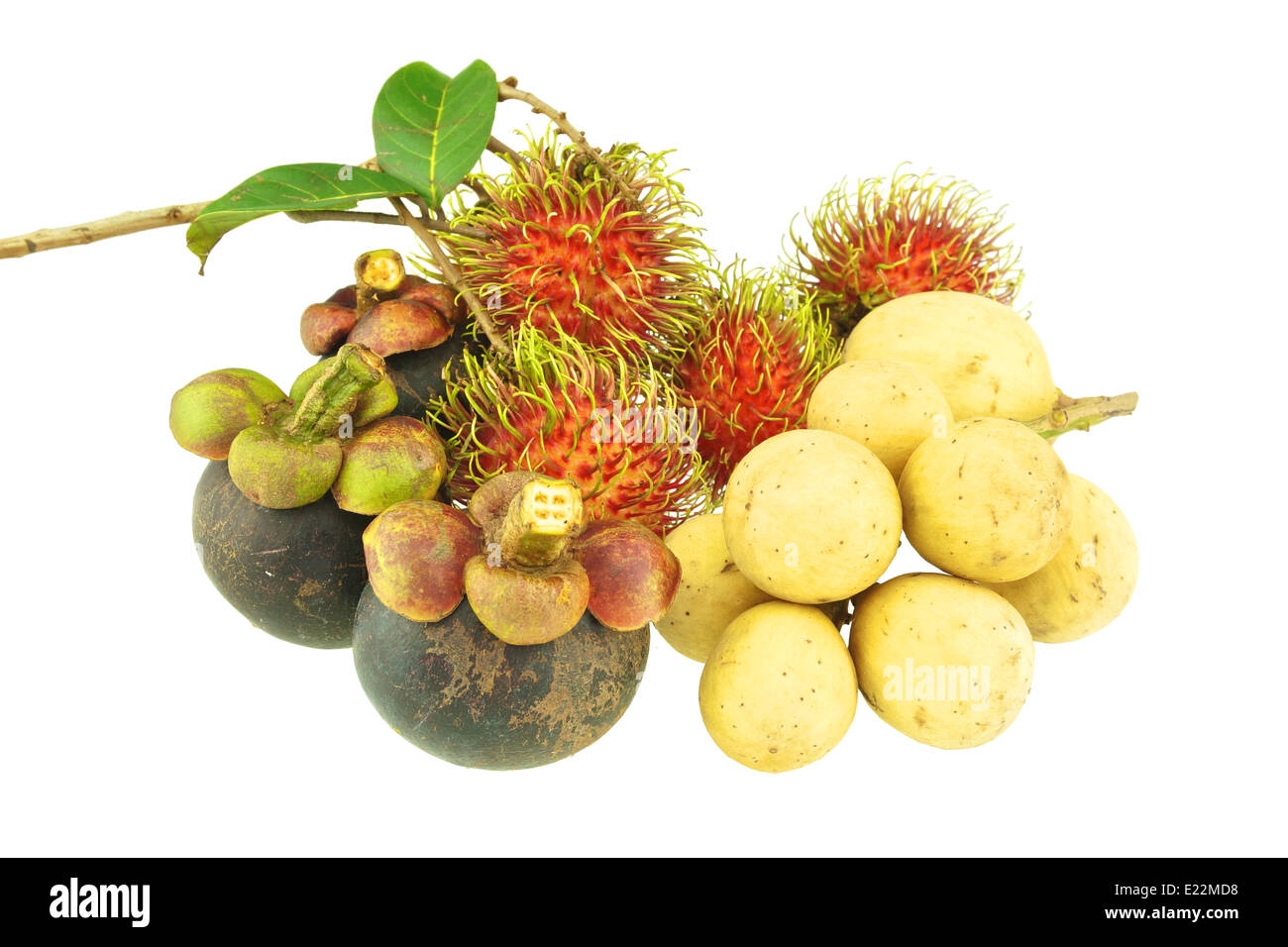 Longkong, ramboutans et fruit de mangoustan est douce saveur isolé sur fond blanc. Banque D'Images