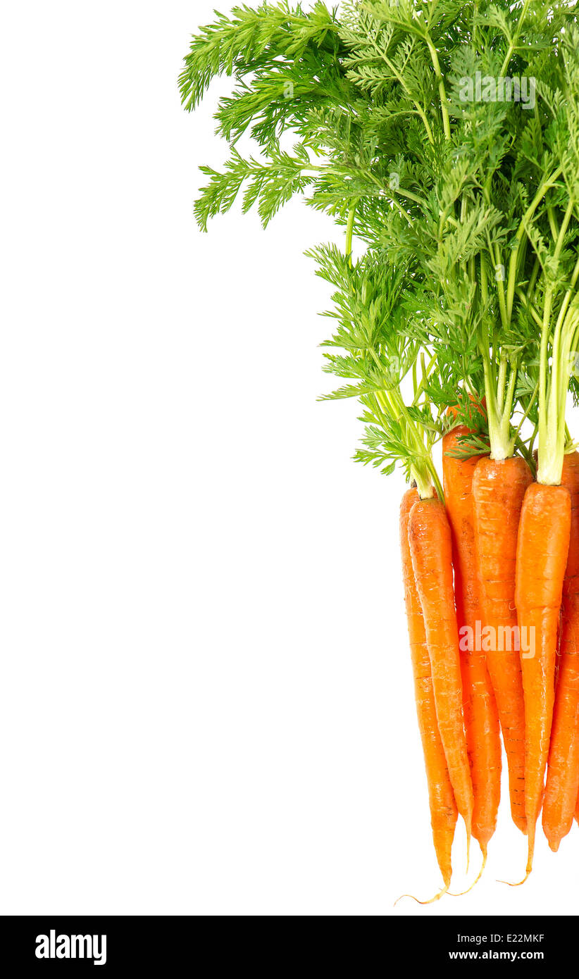 Les carottes avec feuilles vert isolé sur fond blanc. Légume. L'alimentation Banque D'Images