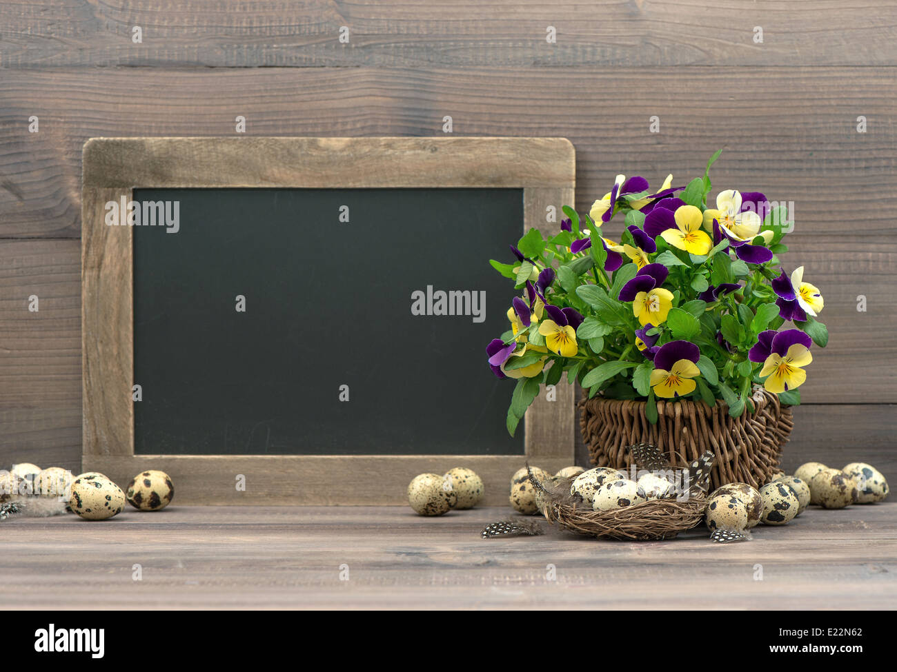 Décoration de Pâques avec des oeufs, fleur et tableau noir vintage pour votre texte Banque D'Images